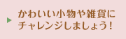 かわいい小物や雑貨にチャレンジしましょう！