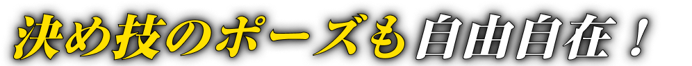 決め技のポーズも自由自在！