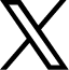 公式X