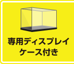 専用ディスプレイケース付き