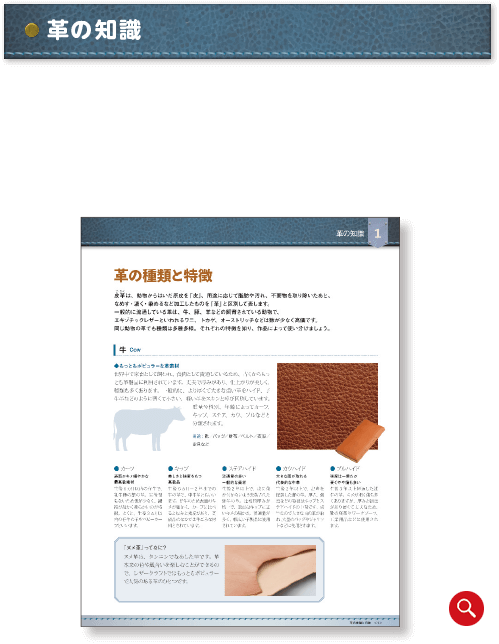 革の知識