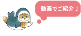 動画で紹介