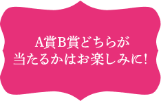 A賞B賞どちらが当たるかはお楽しみに！