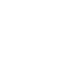 公式X