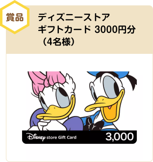 賞品 ディズニーストア ギフトカード 3000円分（4名様）